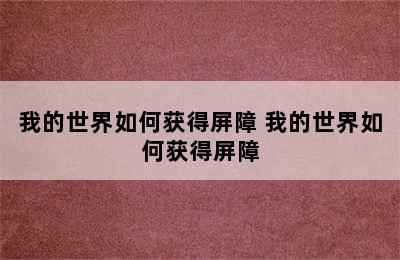 我的世界如何获得屏障 我的世界如何获得屏障